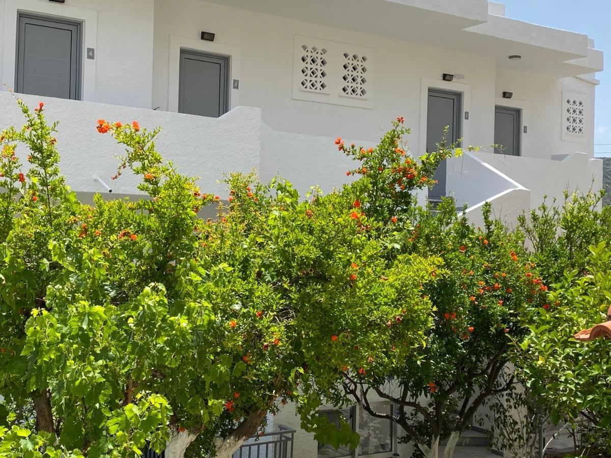 Georgina Hotel Agia Marina  Bagian luar foto